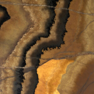 Ailurus Onyx
