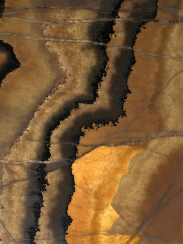 Ailurus Onyx