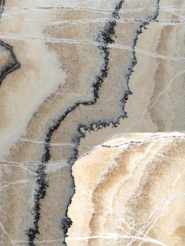 Ailurus Onyx - Image 2