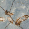 Blue Dream Onyx - Image 2