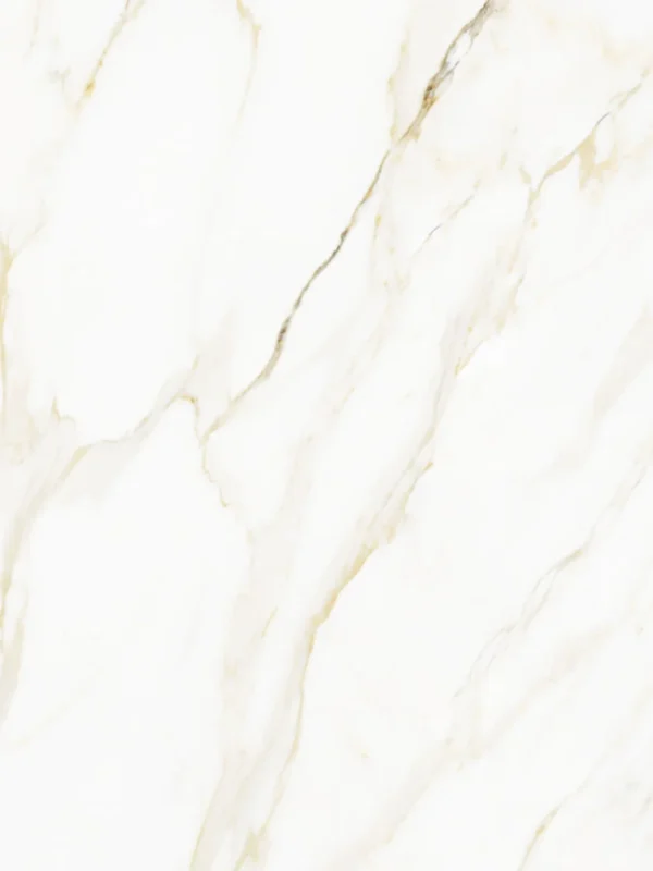 Calacatta Gold Matte (60x60)