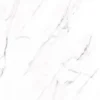 Carrara Polish (120x300)