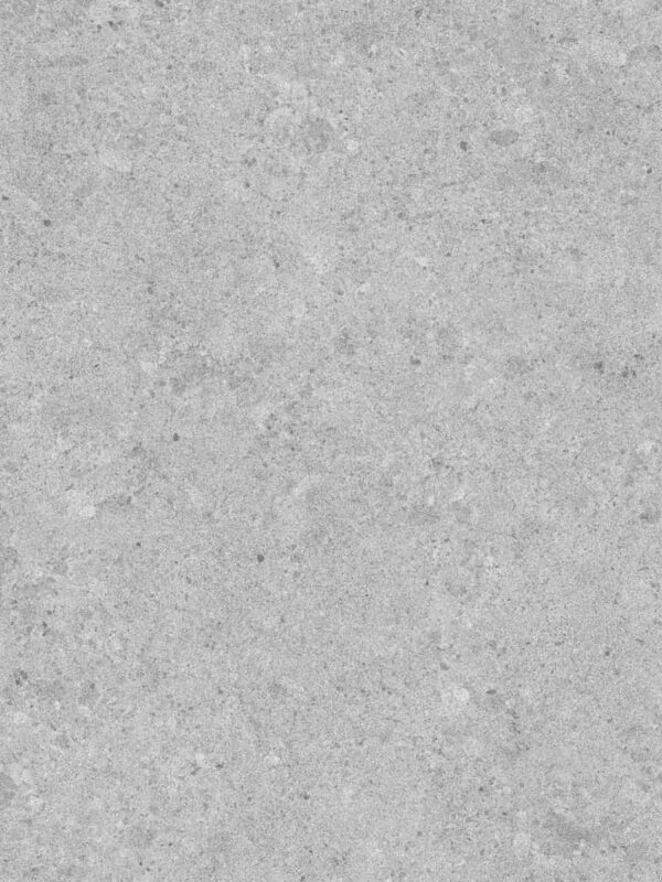 Ceppo Light Gray Matte (120x300)