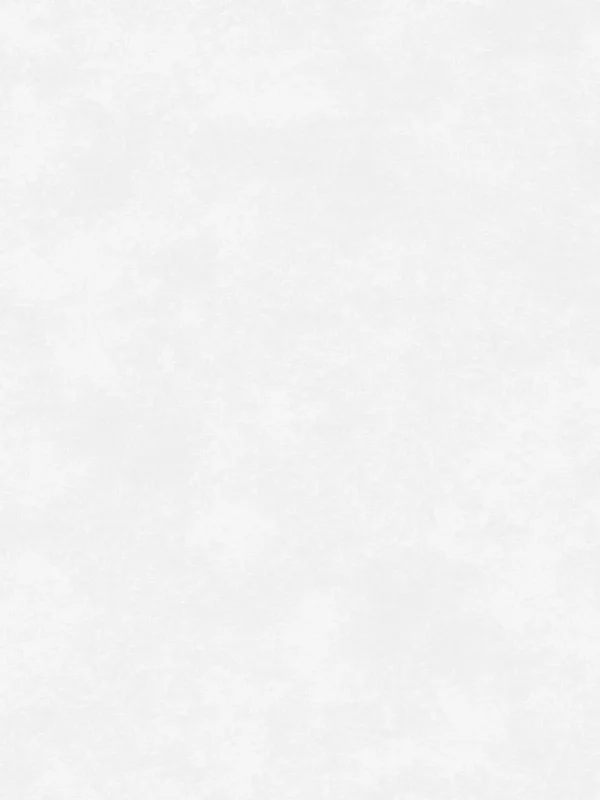 Concept Light Gray Matte (120x300)