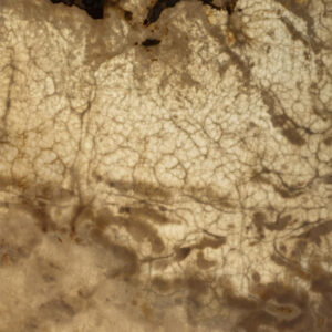Cream Sunset Onyx