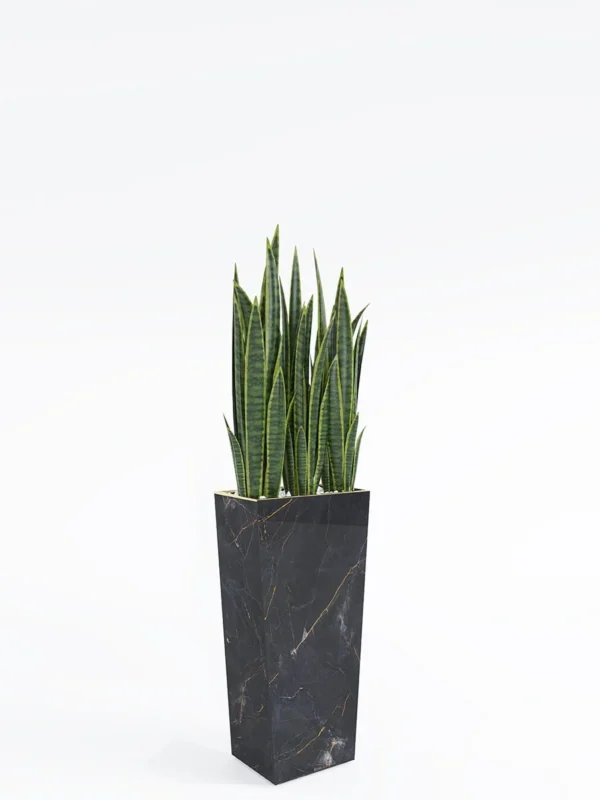 Forza Plant Box (50x30x75)