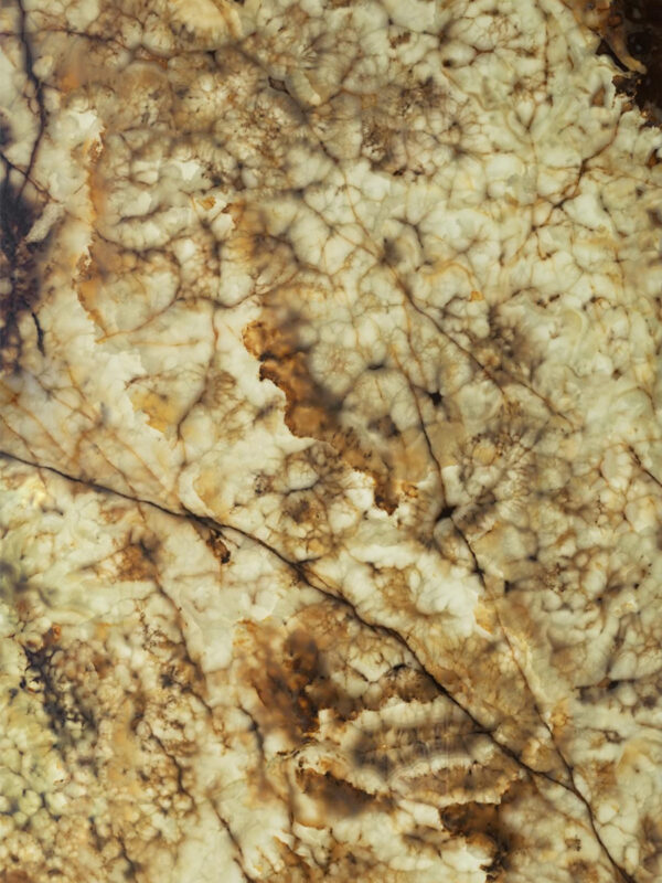 Green Desert Onyx