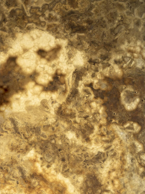Lemon Onyx