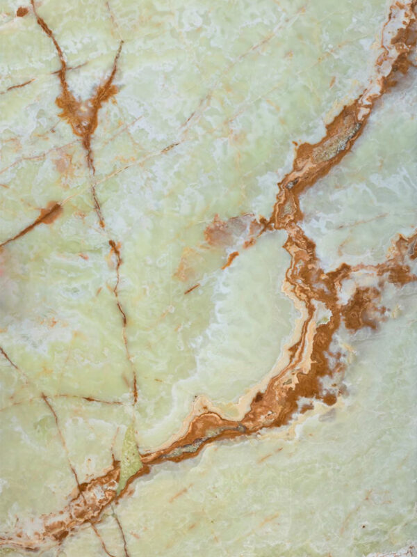 Lettuce A Onyx - Image 2