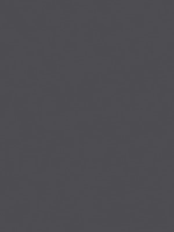 Monocolor Dark Gray Matte Color Body (80x160)