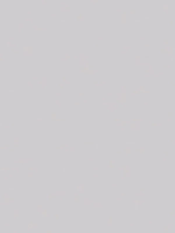 Monocolor Light Gray Matte Color Body (80x160)