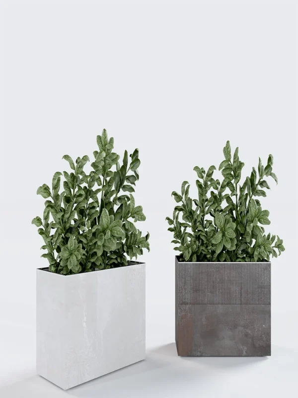 Plant Box 120 (120x60x30)