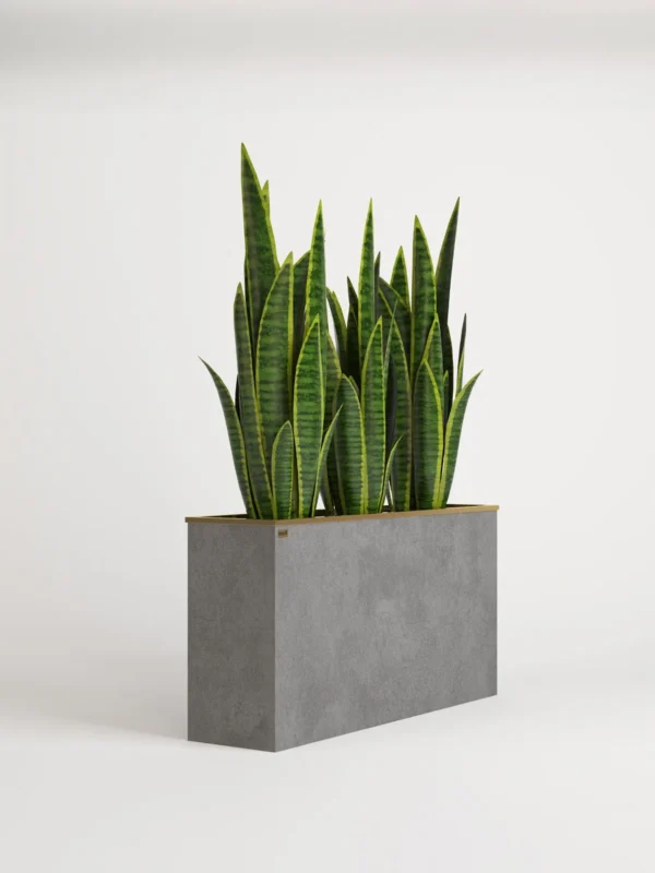 Plant Box 60 (60x45x30) - Image 2