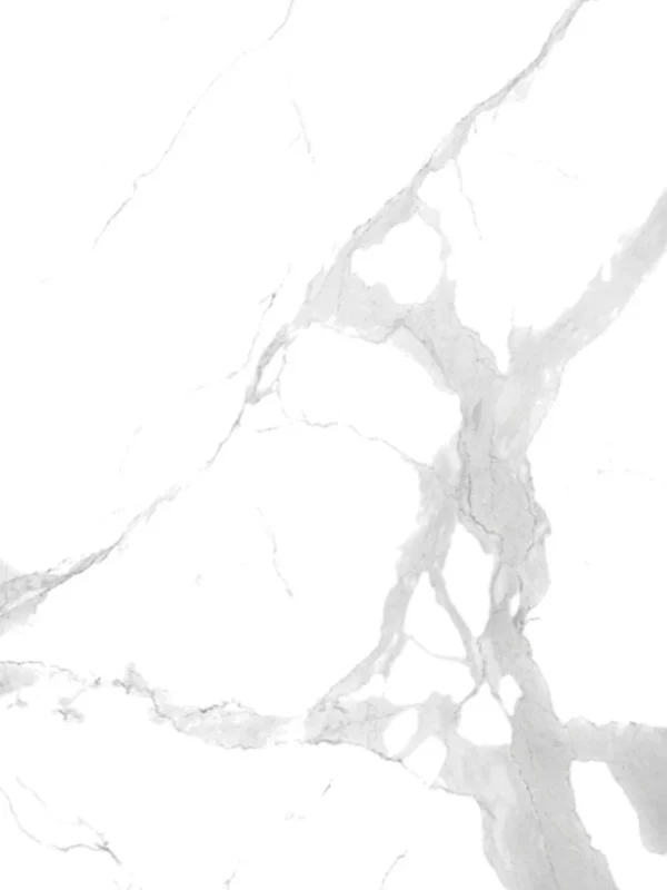 Statuario Polish (120x300)
