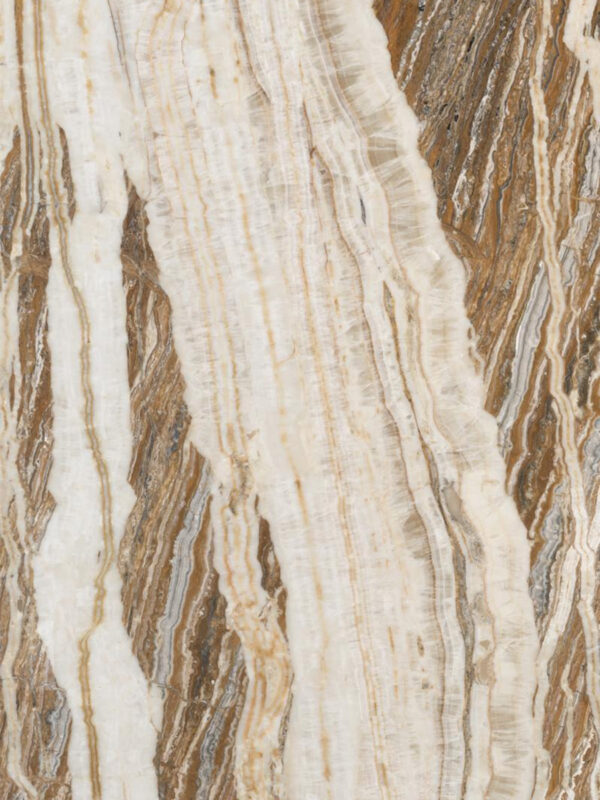 Tiger Traonyx - Image 2