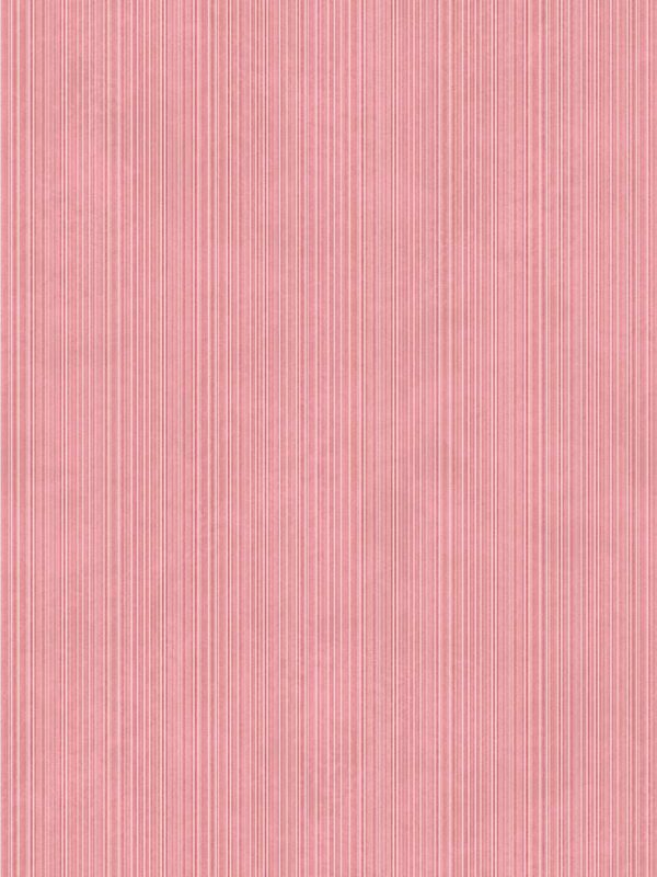 Concept Pink Striped Matte (120x300)